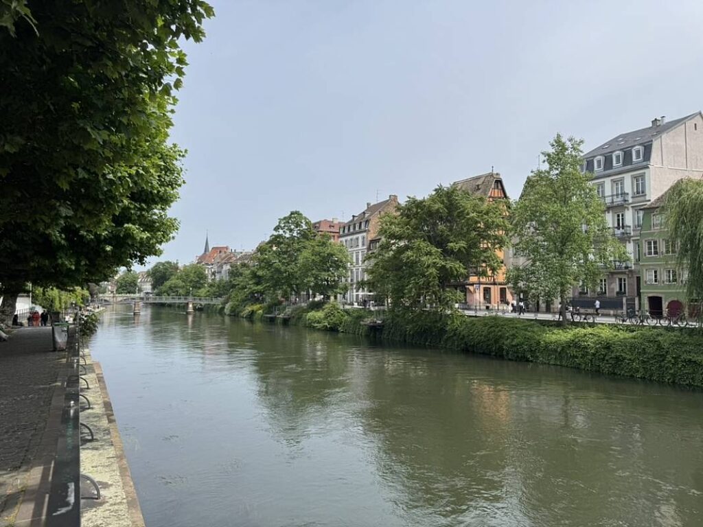 Blick auf den Fluss Ill und Häuser am Ufer