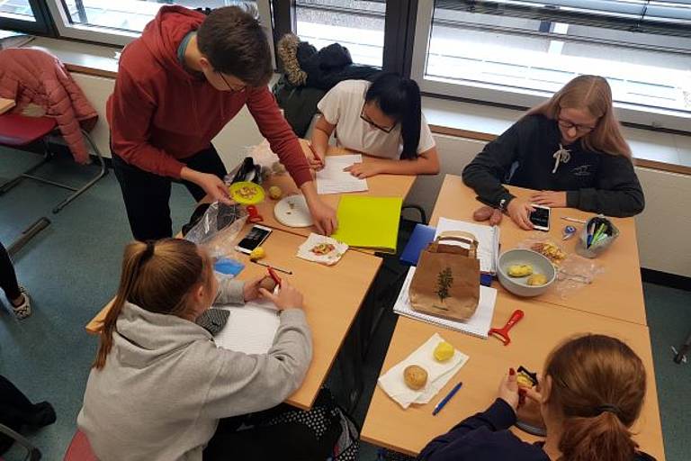 Schüler untersuchen Lebensmittel